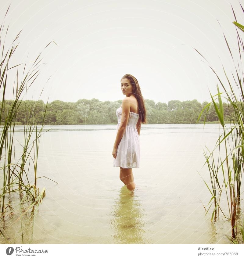 facing Trip Adventure Summer Young woman Youth (Young adults) Body 18 - 30 years Adults Rain Tree Common Reed Lake Dress Barefoot Brunette Long-haired