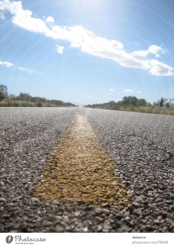 Road markings of a American Highway up close on a sunny day with blue skies. Bushes Border Far-off places Freeway Stripe Asphalt Yellow Gray Clouds Horizon