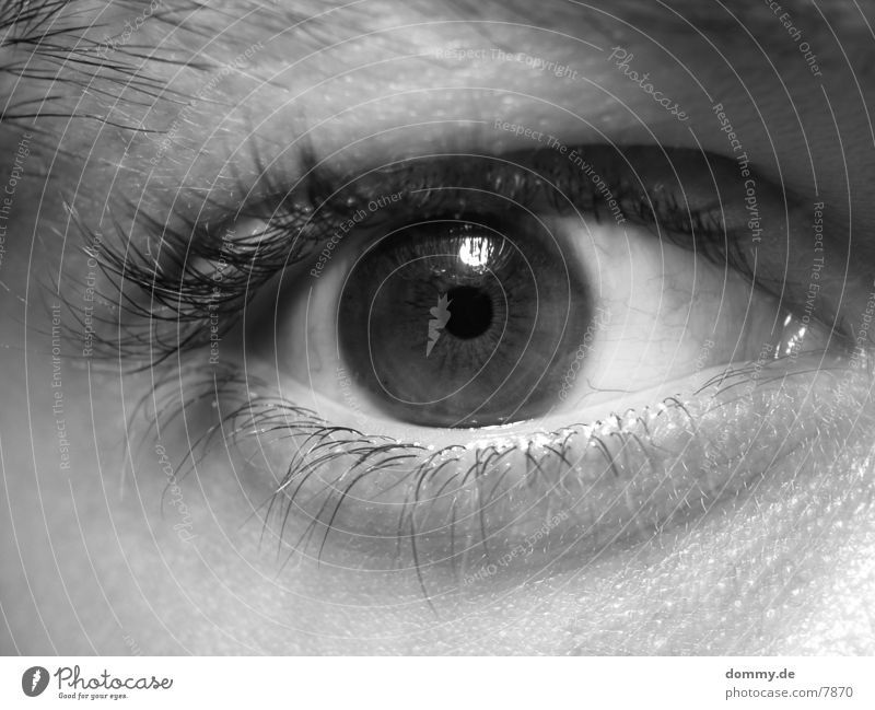 Eye (part 1024) Eyelash Brown Human being Eyes eye Black & white photo Iris kaz