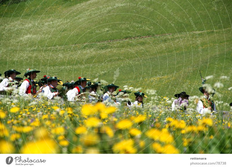 through the meadow Dolomites South Tyrol Procession Moving (to change residence) Green Yellow Summer Dandelion Musical instrument Green space Plant Human being