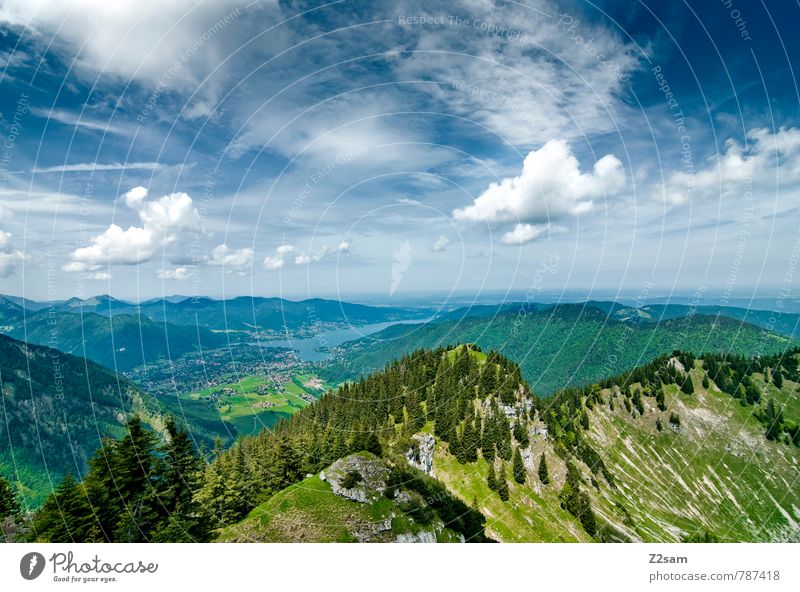 Tegernsee Vacation & Travel Trip Hiking Climbing Mountaineering Environment Nature Landscape Sky Clouds Summer Beautiful weather Tree Forest Alps Peak Lake