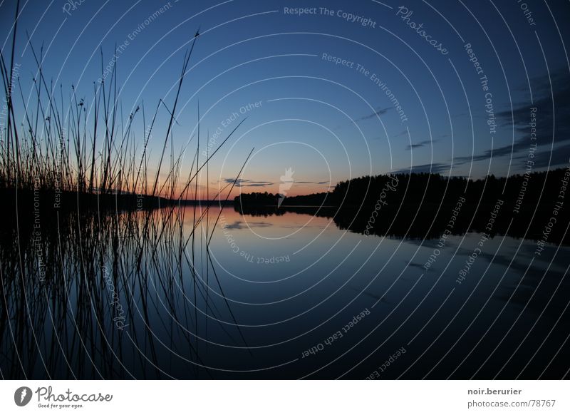 Sunset in Masuria Calm Far-off places Summer Nature Sky Clouds Horizon Sunrise Lakeside Blue Black Moody Evening sun Common Reed Reeds Poland Dusk Colour photo