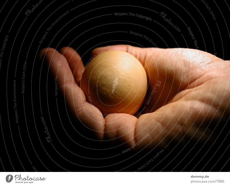 security Safety (feeling of) Hand Physics Fingers Photographic technology Egg Warmth kaz