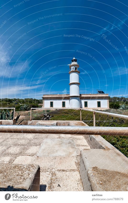 Cabo de ses Salines Sky Summer Warmth Stand Lighthouse Safety Tower Building Handrail White Blue Vertical Tall Far-off places Stone pine Mediterranean Majorca