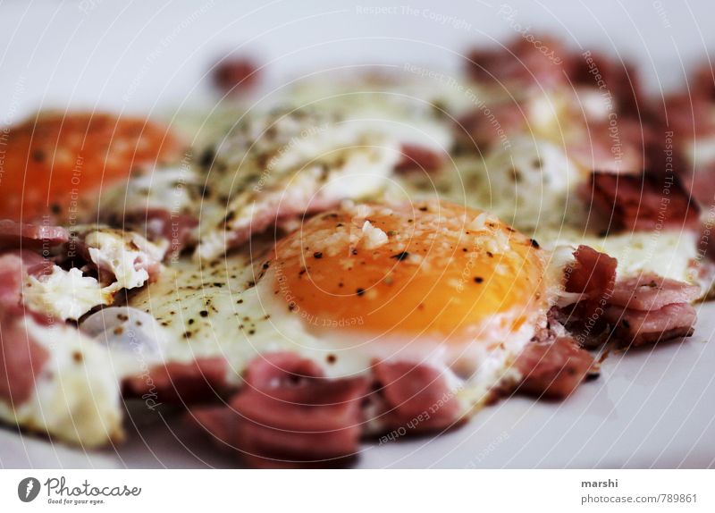 Egg bacon egg Food Nutrition Eating Breakfast Hot Orange Fried egg sunny-side up Bacon Herbs and spices Appetite Snack Colour photo Close-up Detail