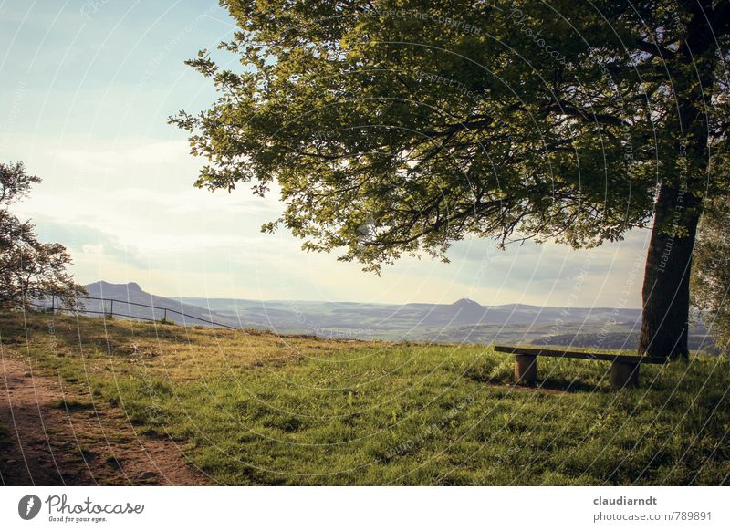 Rest area // No. 300! Environment Nature Landscape Plant Sky Clouds Summer Beautiful weather Tree Grass Garden Meadow Hill Mountain Relaxation To enjoy