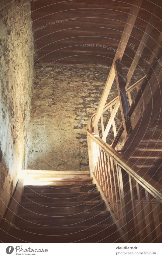 In the tower Tower Wall (barrier) Wall (building) Stairs Going Old Brown Staircase (Hallway) Banister Upward Go up Massive Wood Stone Under Colour photo