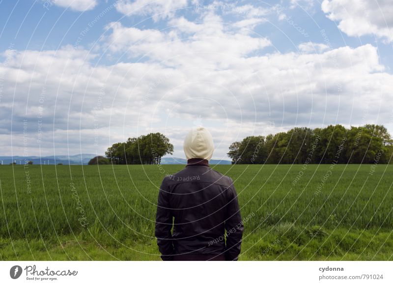 clear one's head Human being Young man Youth (Young adults) Life 18 - 30 years Adults Environment Nature Landscape Sky Summer Beautiful weather Tree Grass Field