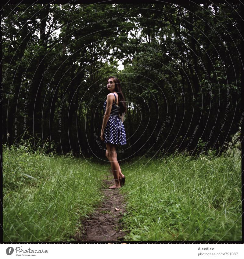 The girl in the forest Trip Adventure Young woman Youth (Young adults) Legs 18 - 30 years Adults Nature Tree Bushes Forest Footpath Summer dress Spotted