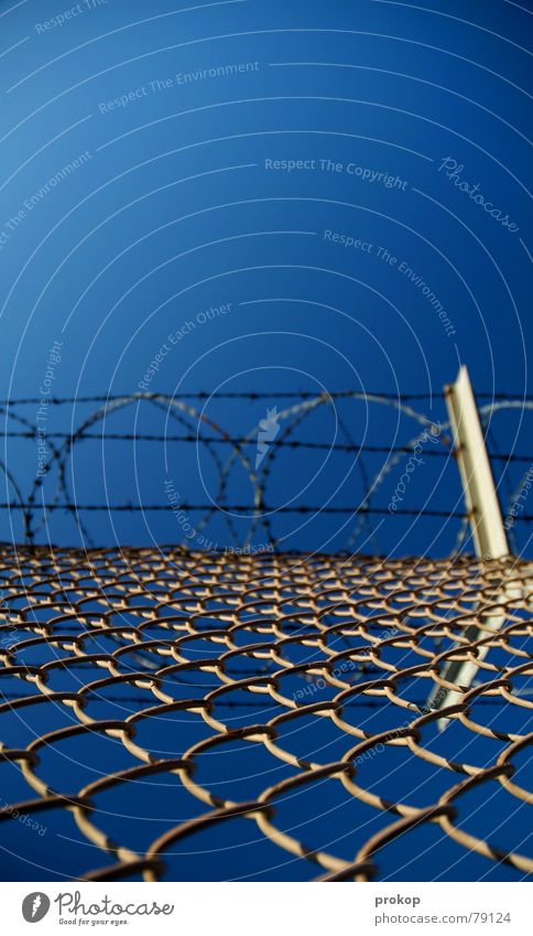 Hurdles run in real life Fence Barbed wire Dangerous Infinity Captured Steel Wire Concentrate Winter Extreme sports intricately neat Sky Threat Freedom