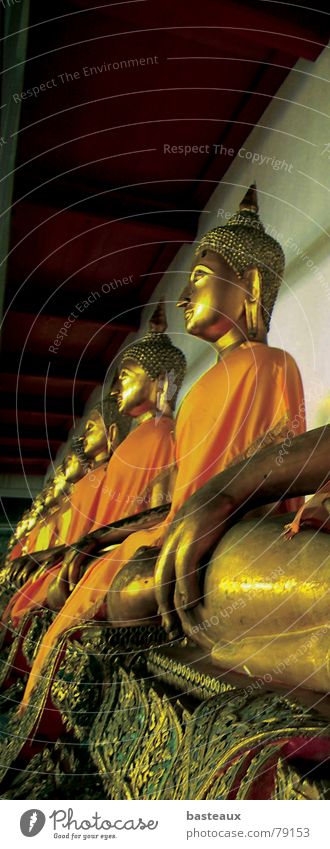 Buddhas Bangkok Buddhism Statue Thailand Religion and faith Art Culture buddahs Row Perspective religious studies