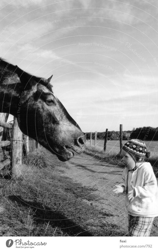 The child & the horse Child To talk Human being Toddler 1 Horse Animal face Emotions Frightening Size difference Black & white photo Exterior shot