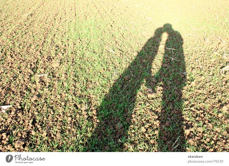 outdoor love Joy Happy Human being Woman Adults Man Friendship Couple Partner Hand Autumn Field Kissing Love Together Soft Brown Emotions Romance Timidity