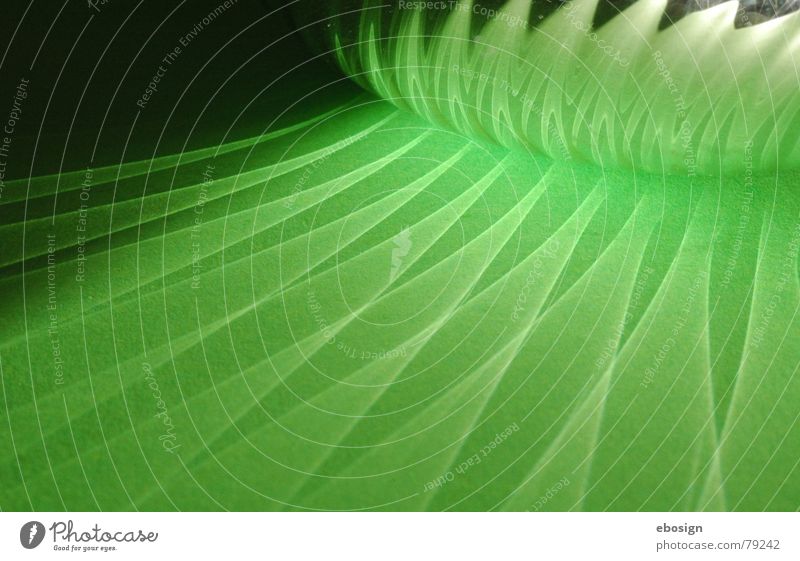 shiny green Green Pattern Magic Reflection Glittering Light Dark Detail Colour Structures and shapes Lighting Shadow Bright