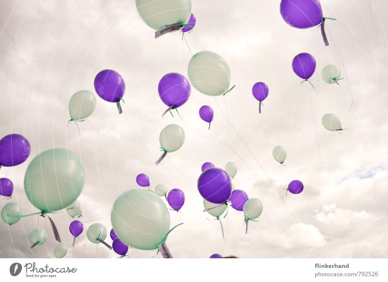 tenderness Feasts & Celebrations Wedding Event Sky Clouds Balloon Flying Dream Happy Above Green Violet Happiness Joie de vivre (Vitality) Freedom