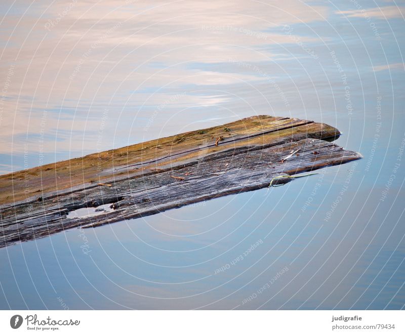 surfaces Lake Wooden board Surface of water Reflection Material Broken Structures and shapes Pond Mirror Light Body of water Brown Calm Wood strip Wood flour