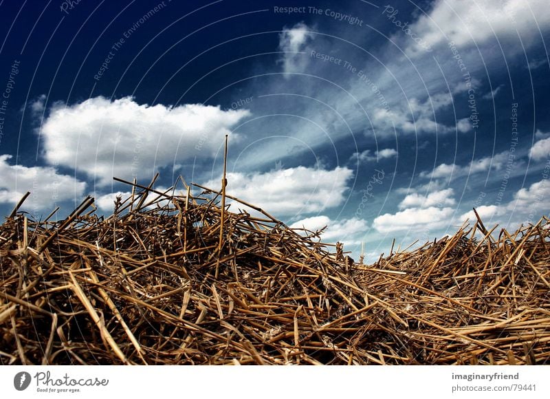 close to home Countries Clouds Straw Field Summer Grass Sky country Harvest Grain Nature Landscape