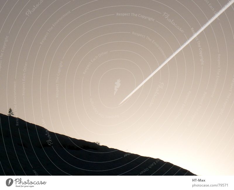 Airplane in sunlight Meteor Comet Back-light Tree Aviation Impact Sun Sky