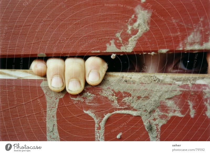 see you .. Fingers Slit Wood Captured Red Emotions Hiding place Eyes Dirty Wooden board Fear Observe Looking
