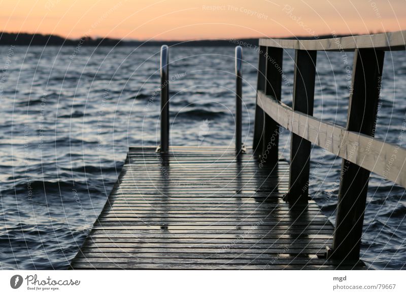 Let's go for a swim! Peninsula Footbridge Smoothness Finland Ocean Wood Evening Sunset Twilight Winter Clouds Cold Wet Vacation & Travel Beach Coast Water