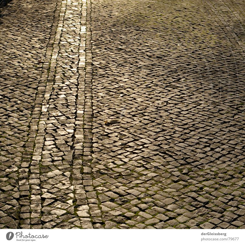 walk the path of the sun Gold Furrow Correct Dependability Cobblestones Illuminate Dark Comforting Cold Tracks Yellow Gray Traffic lane Flashy Town Pavement