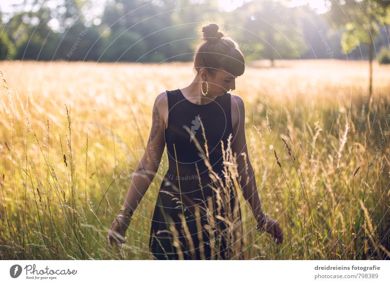 ... this light!!! Feminine Young woman Youth (Young adults) Woman Adults 1 Human being Nature Sunlight Summer Beautiful weather Grass Dress Black-haired Chignon