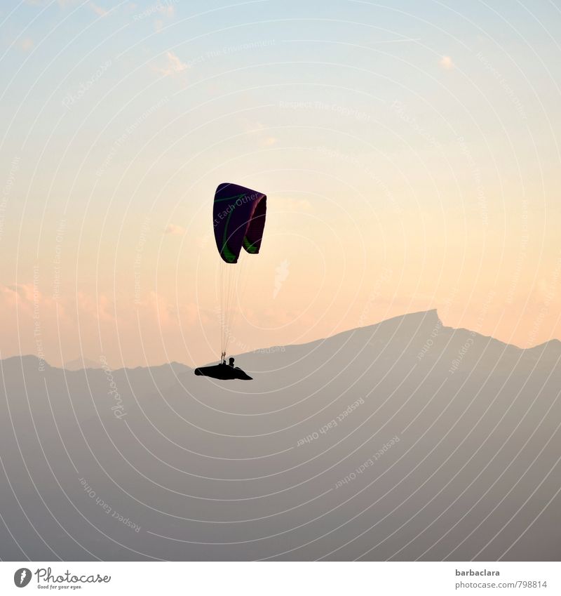 Flying high. Leisure and hobbies Paragliding Human being 1 Air Sky Sun Alps Mountain Nebelhorn Peak Bright Tall Emotions Joy Brave Adventure Experience Freedom