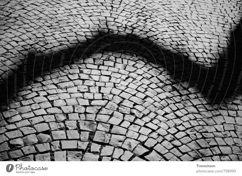 Tuesday blues. Heidelberg Deserted Places Shadow Stone Looking Stand Esthetic Dark Gray Black Emotions Pain Paving stone Line Shade of a tree