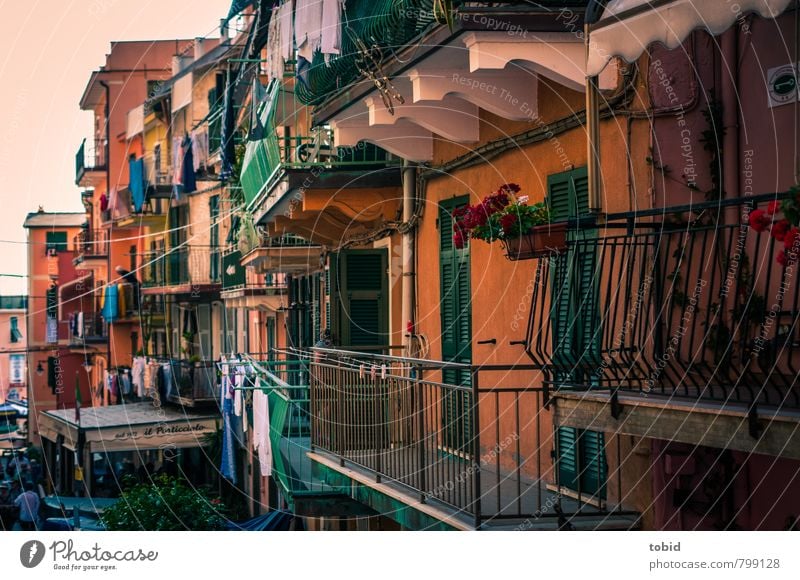 Little Cuba Vacation & Travel Sightseeing Summer Living or residing Balcony Housefront Handrail Cinque Terre Italy Village Fishing village Downtown Old town