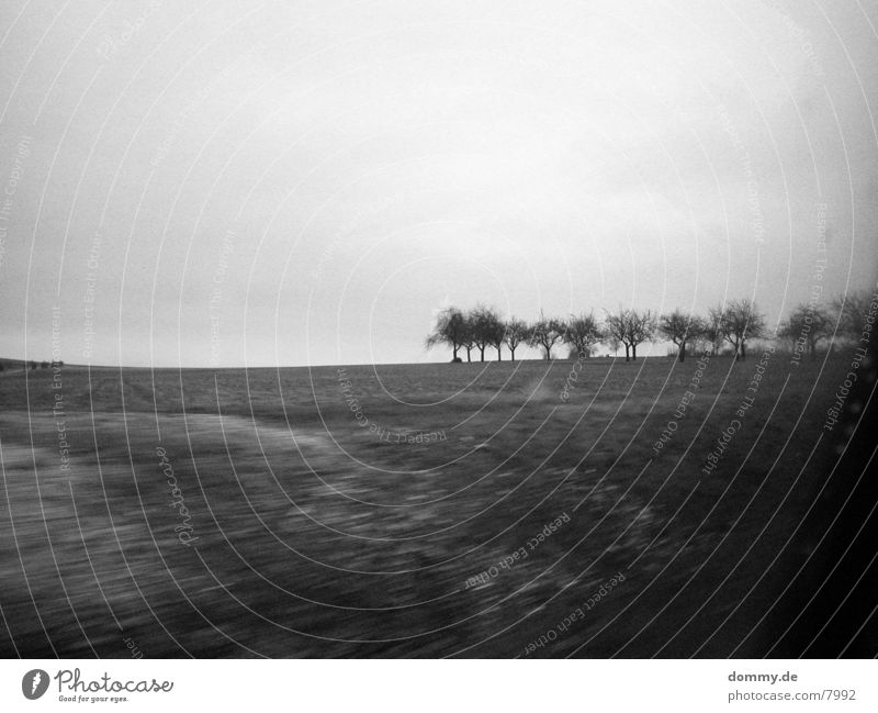 still life with speed Still Life Tree Speed Americas Black & white photo 800 iso kaz