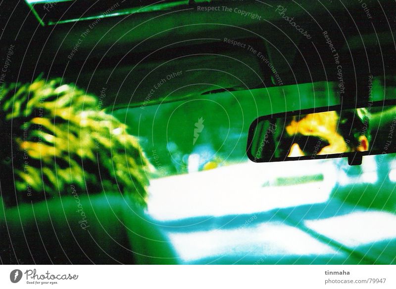 driving the car Movement Driving Rear view mirror Reflection Driver Loneliness Green Yellow Country road Perspective Car Road traffic Doomed Carriage Driveway