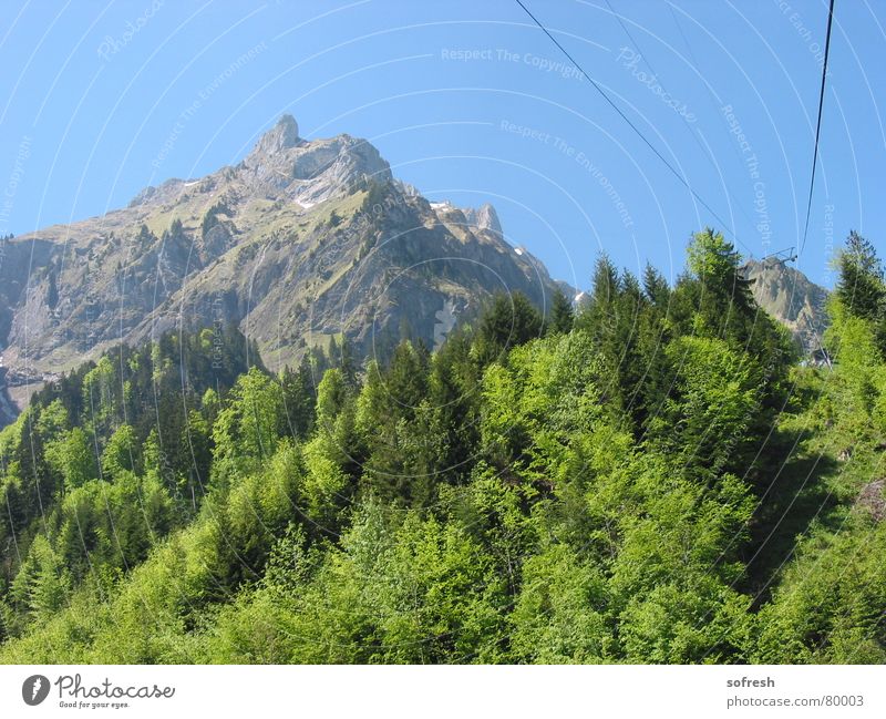 pilate Summer Forest Driving Mountain Sky Pilatus Mixed forest Cable Beautiful weather Blue sky Exterior shot
