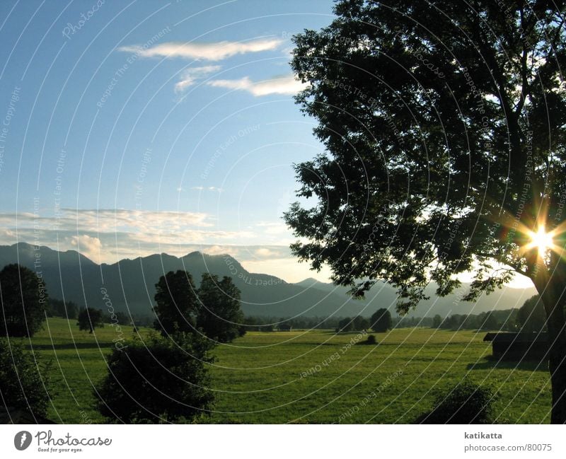 my vacation. Bavaria Sunset Tree Green Back-light Calm Vacation & Travel Meadow Thundery shower Rain Mountain Thunder and lightning Summer Nature Alps Blue Fog