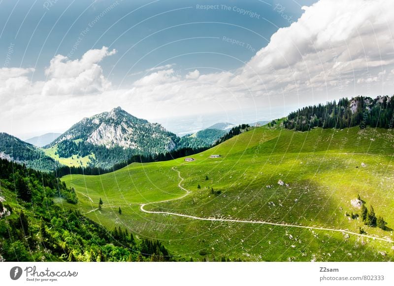 homeland Hiking Environment Nature Landscape Sky Clouds Summer Meadow Forest Alps Mountain Esthetic Sustainability Natural Blue Green Calm Loneliness Relaxation