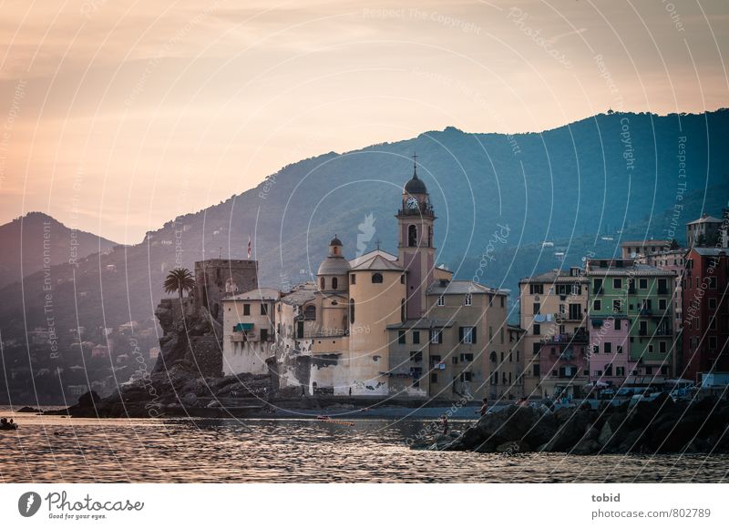 Camogli Vacation & Travel Tourism Human being Summer Beautiful weather Forest Hill Rock Peak Waves Coast Beach Bay Italy Liguria Village Port City Old town