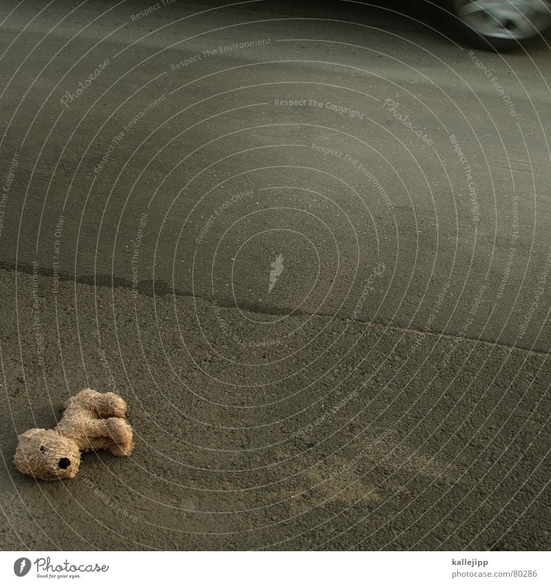 school has started Cuddly toy Road traffic Breakdown Accident Dangerous Dog Teddy bear Death Car Watchfulness Caution Warning signal Motor vehicle Attentive