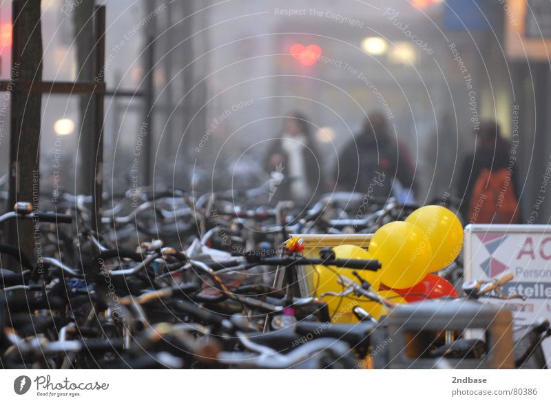 Münster in the morning Bicycle Fog Winter Wheel Human being Balloon