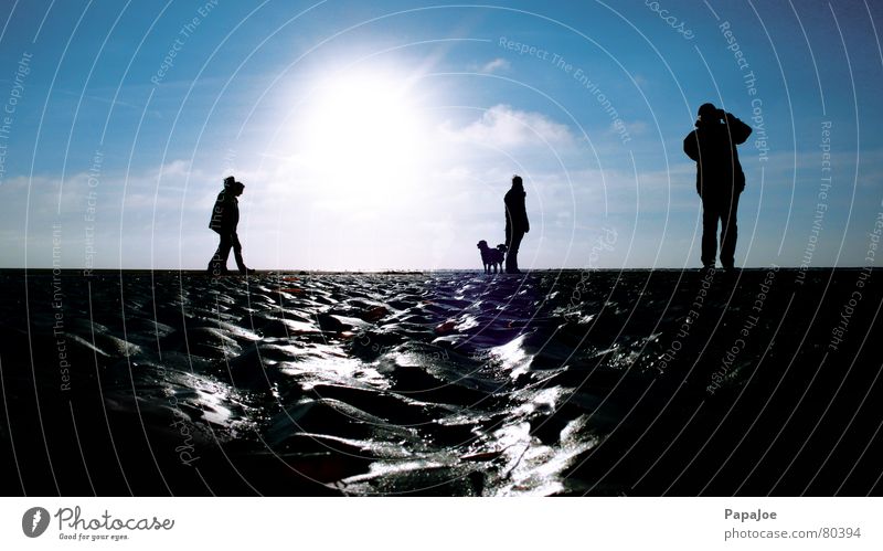 beach life Golden Retriever Beach Dog Woman Man Human being Take a photo Cold Wet Clouds Back-light Animal Ocean December Horizon Cyan Silhouette Damp Ice