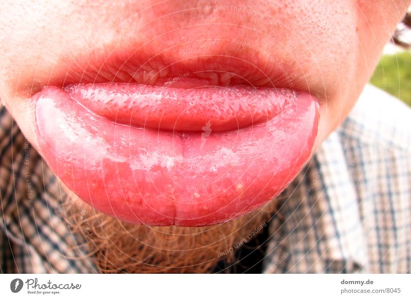 ne´dicke Risk your lip Fat Red Man Lips Tongue claus