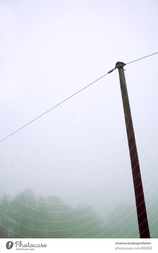 mast Dark Fog Creepy Empty Tree Winter Cold Gray December Deserted Remote Foreign Exceptional Gloomy Heartless Vail Ghostly Ice Eerie Cruel Loneliness Withdraw