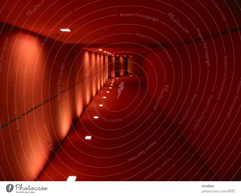 red corridor New Tapestry carpet Hallway Red Lamp Light Dark Carpet Wall (building) Lighting Passage Architecture Shadow Central perspective Building line