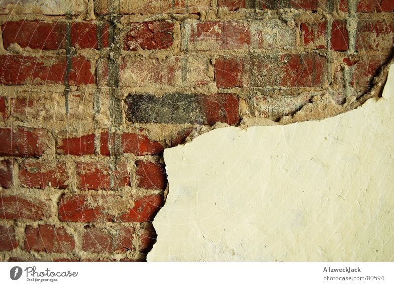 mania for cleaning Brick red Wall (building) Wall (barrier) Plaster Decline Derelict Harmful Partition wall Putrefy Bursting Crack & Rip & Tear Decompose