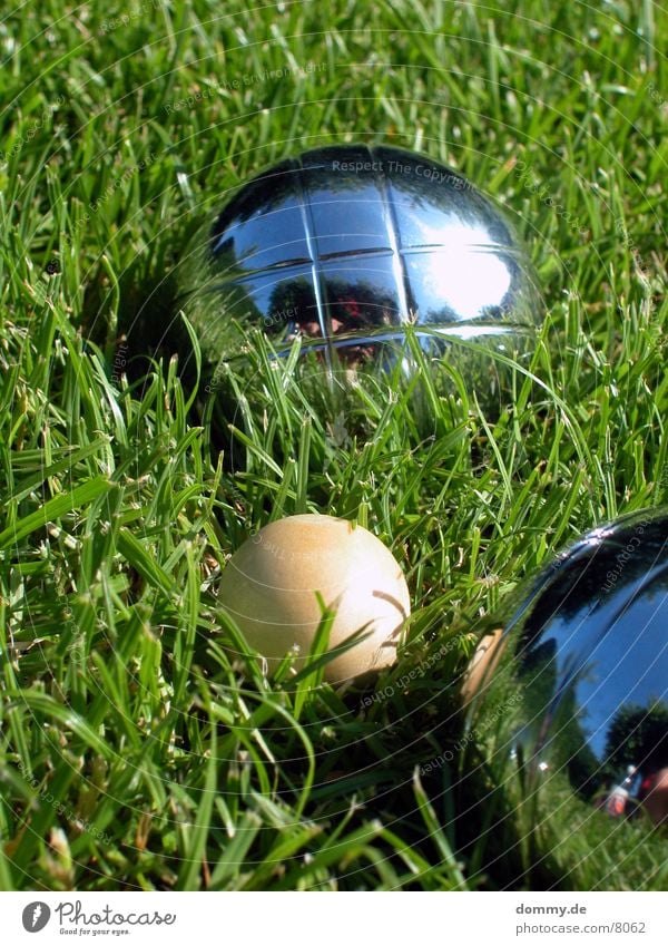 boule Boules Iron Playing Wood Round Grass Green Leisure and hobbies Sphere