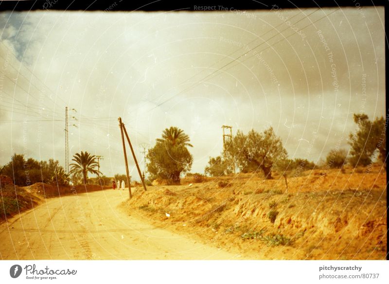 Street in Tunisia Yellow White Village Palm tree Loneliness Lanes & trails way Scan scratch Sky Desert