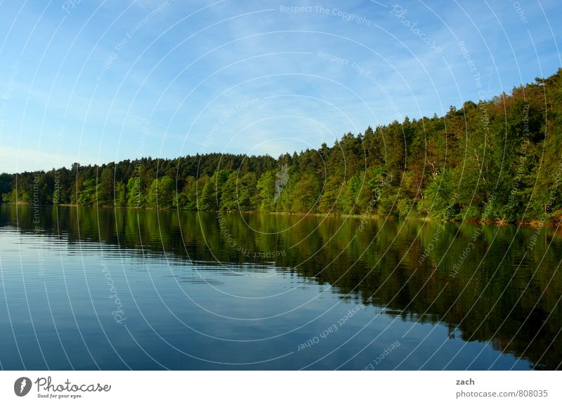 Wellness oasis | in the evening in Brandenburg Nature Landscape Water Cloudless sky Spring Summer Beautiful weather Tree Coast Lakeside Relaxation