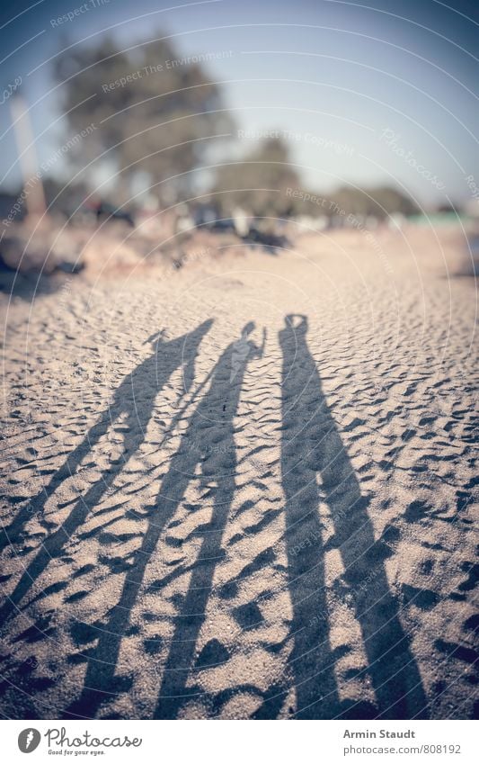 Shadows on the beach Lifestyle Joy Relaxation Vacation & Travel Tourism Adventure Far-off places Summer Summer vacation Sun Beach Ocean Human being Father