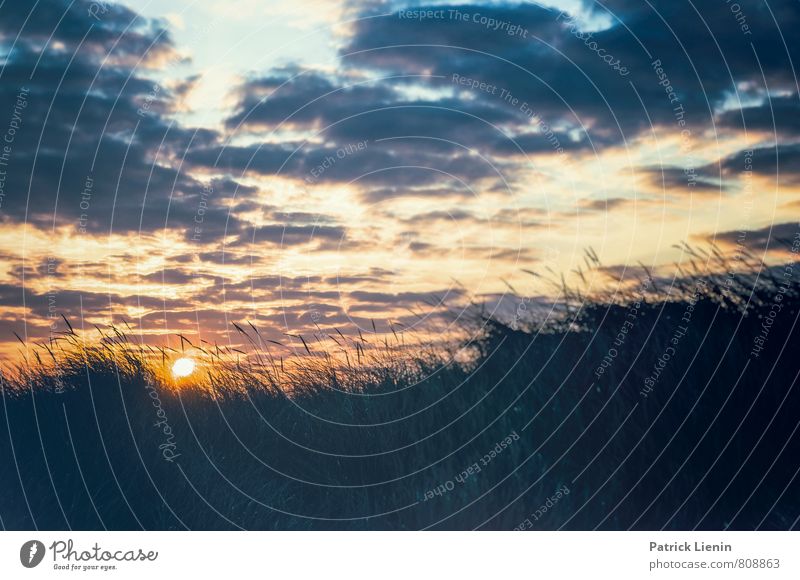 Morning sun over the dunes Harmonious Well-being Contentment Senses Relaxation Tourism Trip Adventure Environment Nature Landscape Elements Air Sky Clouds Sun