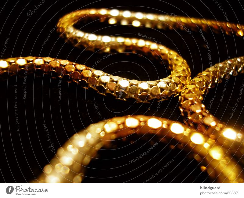 golden snake Jeweller Value Precious Jewellery Fine Delicate Glittering Expensive Necklace Thief Break-in Arts and crafts  Macro (Extreme close-up) Blur Luxury