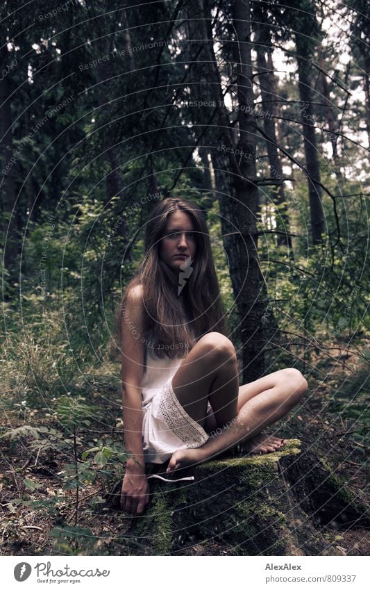 Young slender woman with long brunette hair in white dress sits cross-legged on a tree stump in a forest Adventure Young woman Youth (Young adults) Legs