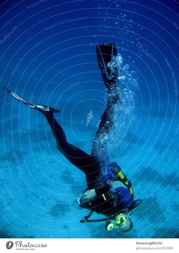 Chill out Aquatics Infinity Diver Ocean Egypt Return Go crazy Water Joy Underwater photo Blue Deep Freedom fun